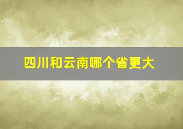 四川和云南哪个省更大