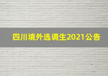 四川境外选调生2021公告