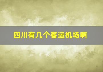 四川有几个客运机场啊