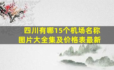 四川有哪15个机场名称图片大全集及价格表最新