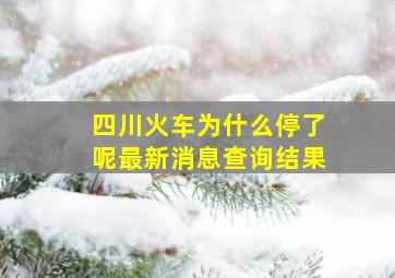 四川火车为什么停了呢最新消息查询结果