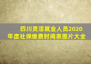 四川灵活就业人员2020年度社保缴费时间表图片大全