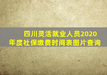 四川灵活就业人员2020年度社保缴费时间表图片查询