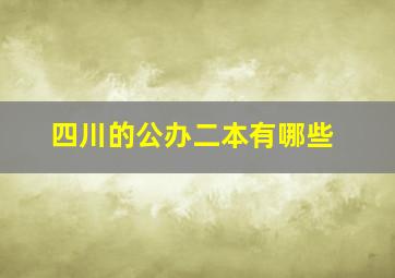 四川的公办二本有哪些