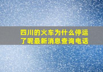 四川的火车为什么停运了呢最新消息查询电话