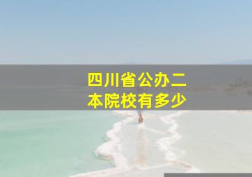 四川省公办二本院校有多少