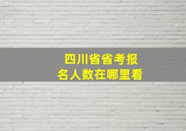 四川省省考报名人数在哪里看