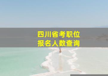 四川省考职位报名人数查询