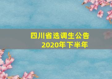 四川省选调生公告2020年下半年