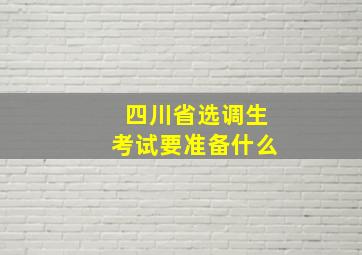 四川省选调生考试要准备什么