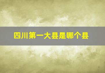 四川第一大县是哪个县