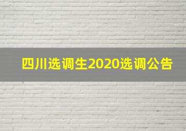 四川选调生2020选调公告