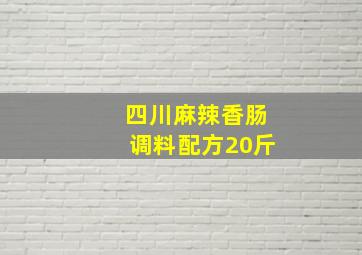 四川麻辣香肠调料配方20斤