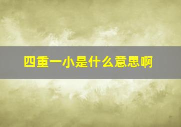 四重一小是什么意思啊