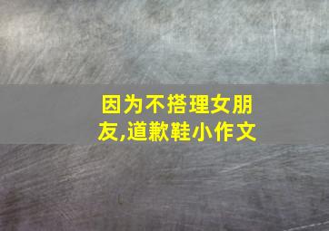 因为不搭理女朋友,道歉鞋小作文