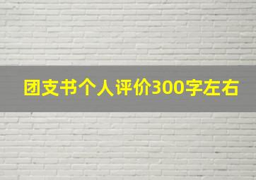 团支书个人评价300字左右