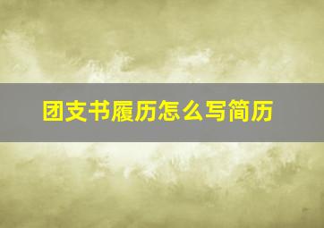 团支书履历怎么写简历