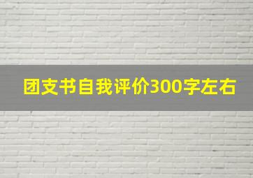 团支书自我评价300字左右