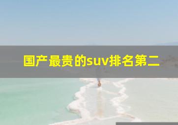 国产最贵的suv排名第二