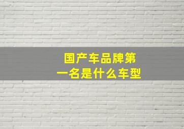 国产车品牌第一名是什么车型