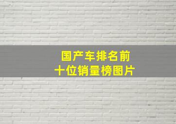 国产车排名前十位销量榜图片