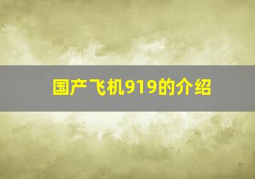 国产飞机919的介绍