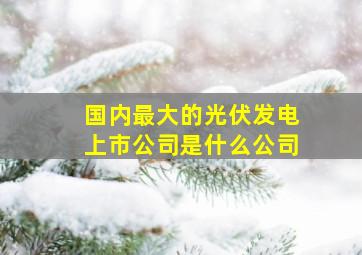 国内最大的光伏发电上市公司是什么公司