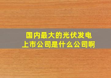 国内最大的光伏发电上市公司是什么公司啊