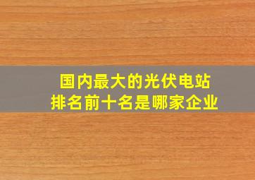 国内最大的光伏电站排名前十名是哪家企业