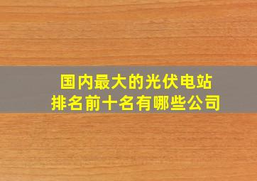 国内最大的光伏电站排名前十名有哪些公司