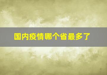 国内疫情哪个省最多了