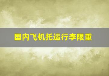 国内飞机托运行李限重