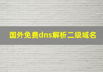 国外免费dns解析二级域名