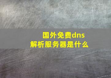 国外免费dns解析服务器是什么