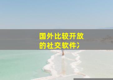 国外比较开放的社交软件冫