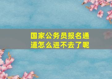 国家公务员报名通道怎么进不去了呢