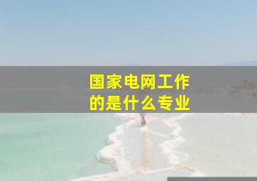 国家电网工作的是什么专业