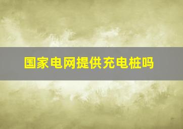 国家电网提供充电桩吗