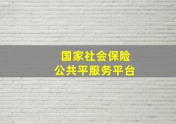 国家社会保险公共平服务平台