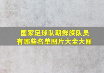 国家足球队朝鲜族队员有哪些名单图片大全大图