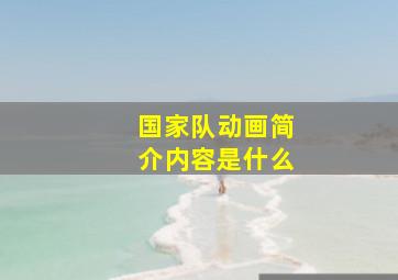 国家队动画简介内容是什么