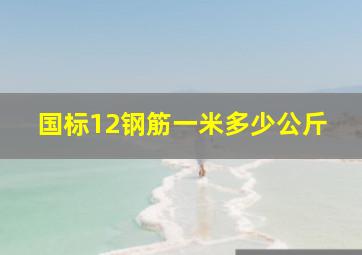 国标12钢筋一米多少公斤