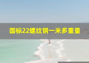 国标22螺纹钢一米多重量