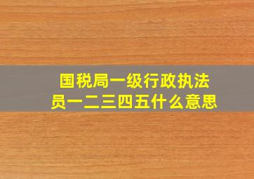 国税局一级行政执法员一二三四五什么意思