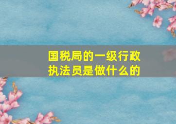 国税局的一级行政执法员是做什么的