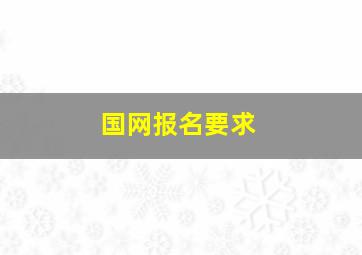 国网报名要求