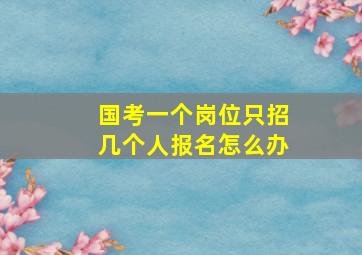 国考一个岗位只招几个人报名怎么办