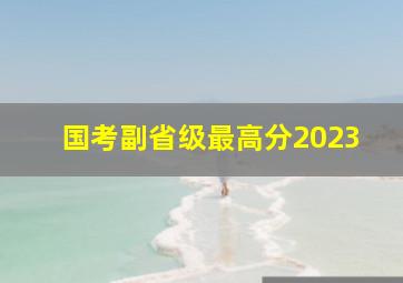 国考副省级最高分2023