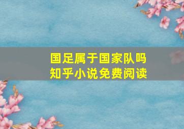 国足属于国家队吗知乎小说免费阅读