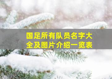 国足所有队员名字大全及图片介绍一览表